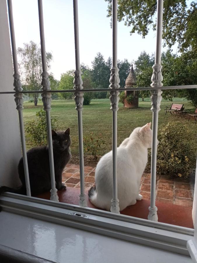 Guest House La Carolina Tigliole ภายนอก รูปภาพ